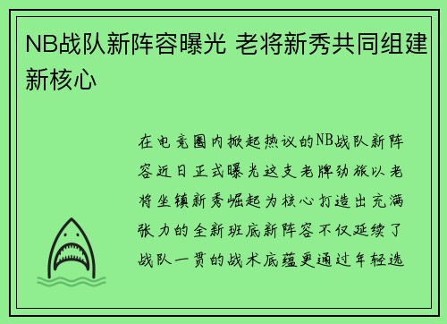 NB战队新阵容曝光 老将新秀共同组建新核心