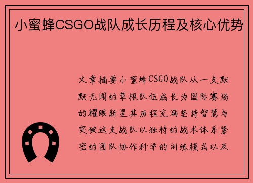 小蜜蜂CSGO战队成长历程及核心优势