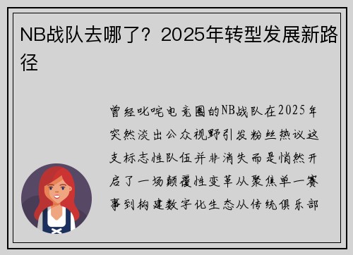 NB战队去哪了？2025年转型发展新路径